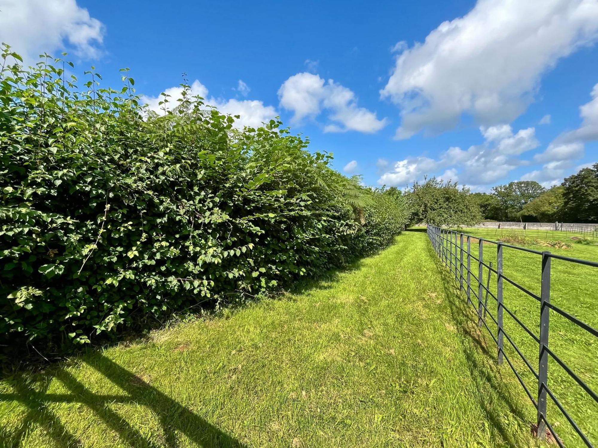 Meadow View Villa Ubley Exterior foto